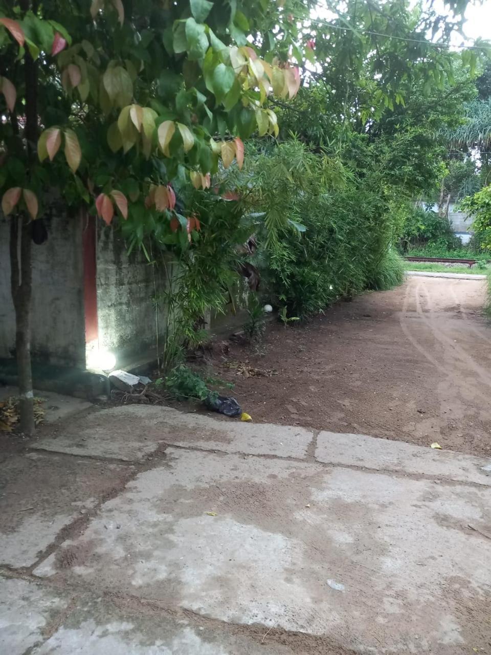 Suninn Hostel And Surf School Weligama Exterior foto